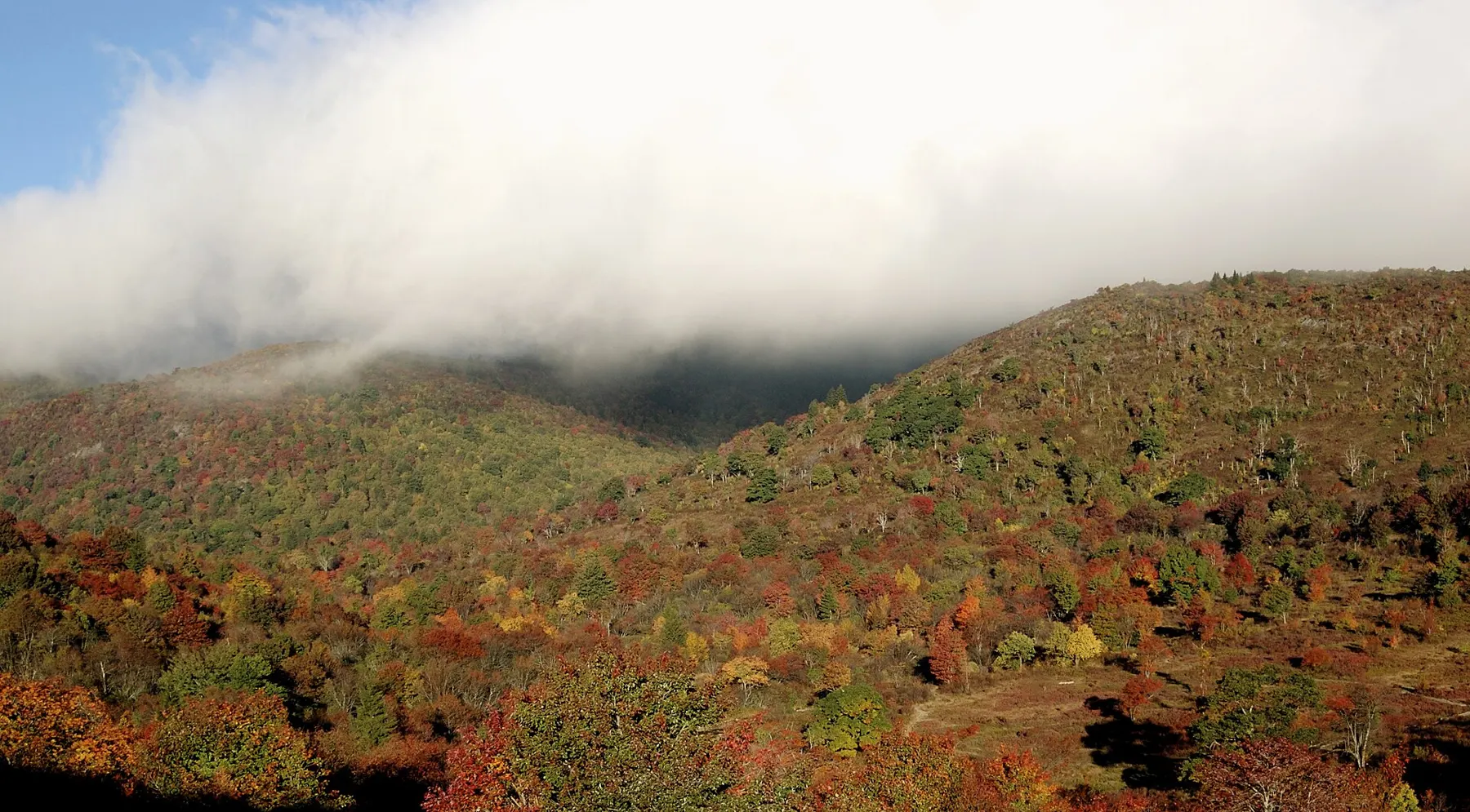 Graveyard Fields' valley in red and orange fall color under low clouds